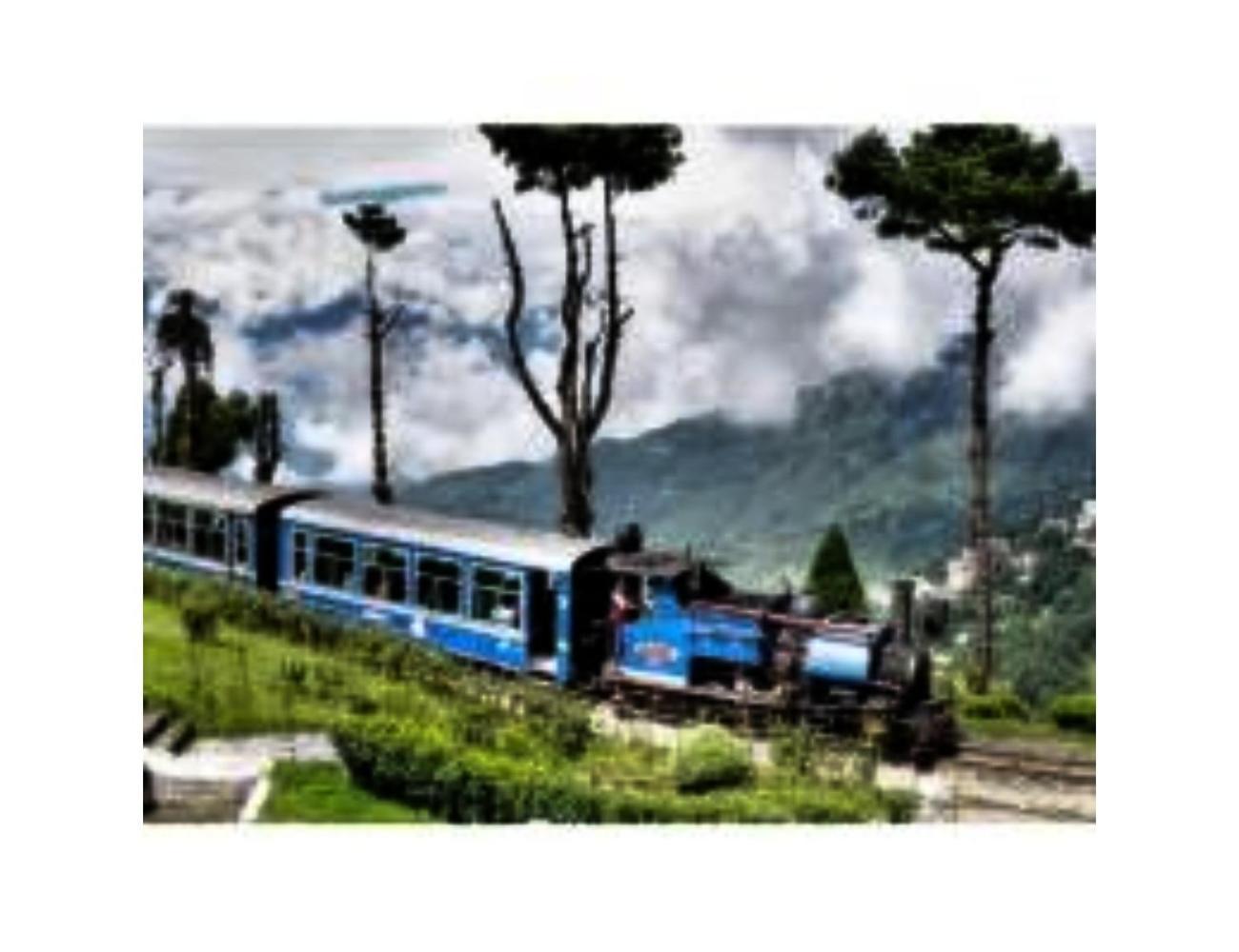 Jambling Sherpa Homestay , Darjeeling Дарджилінг Екстер'єр фото